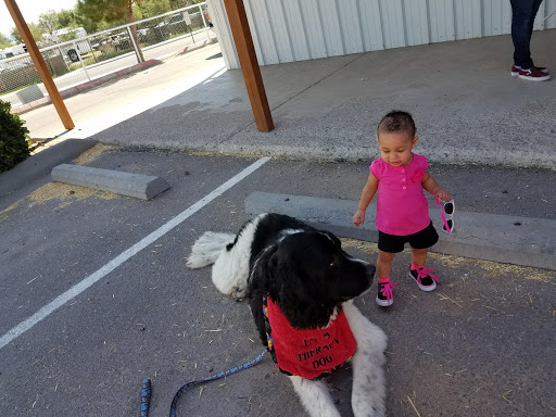 Pet Supply Store «Horse N Hound Feed N Supply», reviews and photos, 991 W Amador Ave, Las Cruces, NM 88005, USA