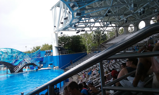 Department Store «Walmart Supercenter», reviews and photos, 121 W Elmsley Dr, Greensboro, NC 27406, USA