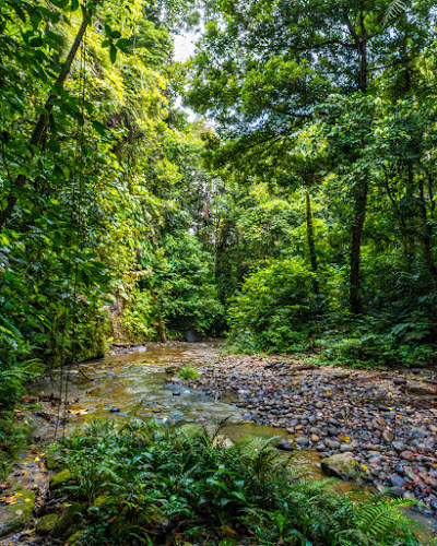 Opiniones de Cascada de Mashunts en Taisha - Camping