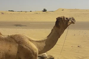Jaisalmer camel safari image
