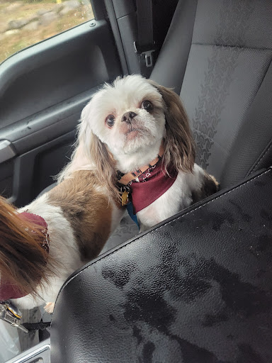 Pet Supply Store «Pet Supplies Plus», reviews and photos, 2100 W Grand River Ave, Okemos, MI 48864, USA