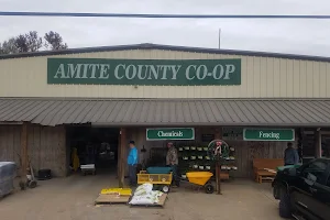 Amite County Co-Op image