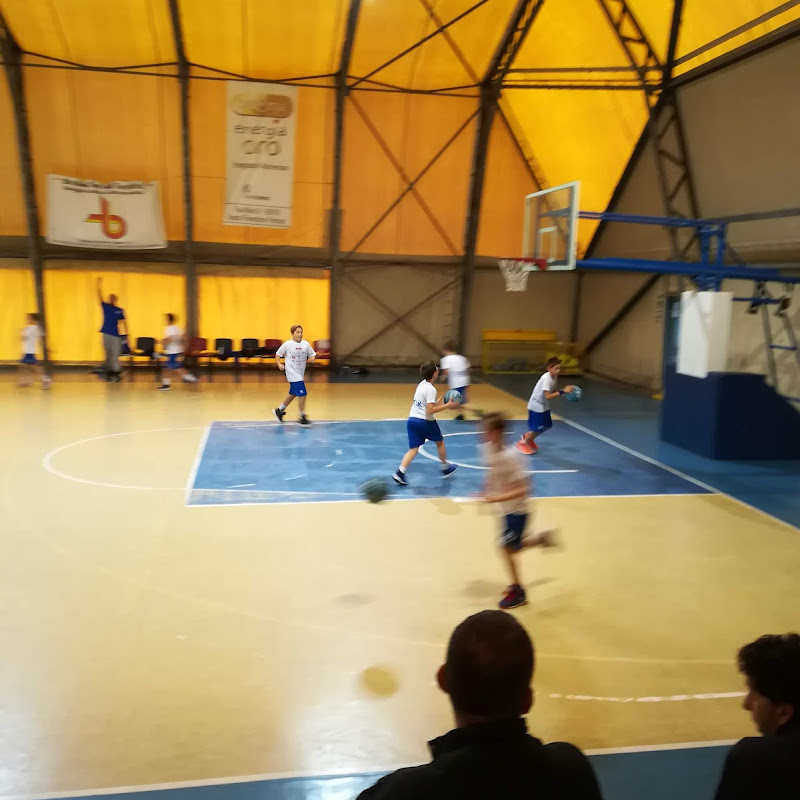 Olimpia Legnaia Basket