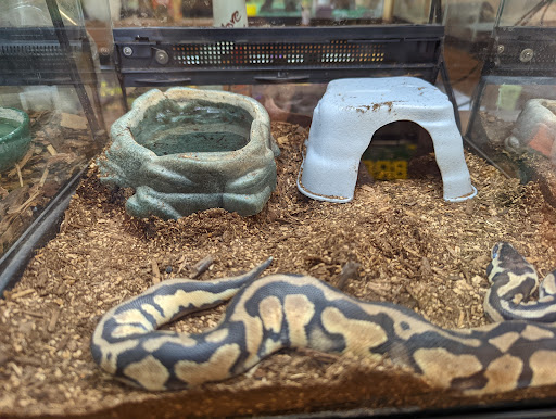 Pet Store «Just Pets», reviews and photos, 393 NY-5, Irving, NY 14081, USA