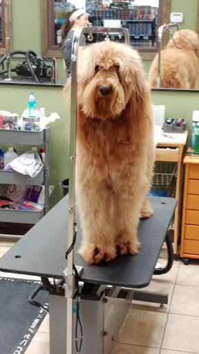 Pet Store «Earthwise Pet - Southlake», reviews and photos, 100 W Southlake Blvd #150, Southlake, TX 76092, USA