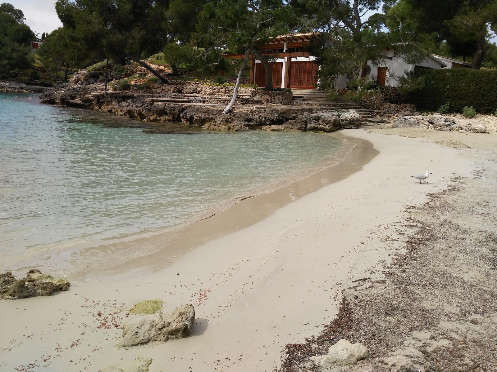 Foto di Cala Mitjana con molto pulito livello di pulizia