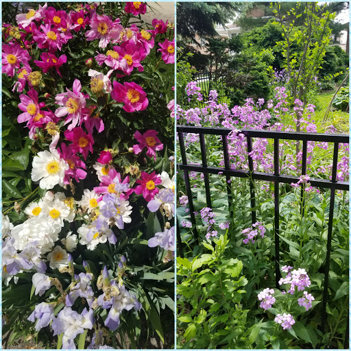 Park «Dunham Park», reviews and photos, 4638 N Melvina Ave, Chicago, IL 60630, USA