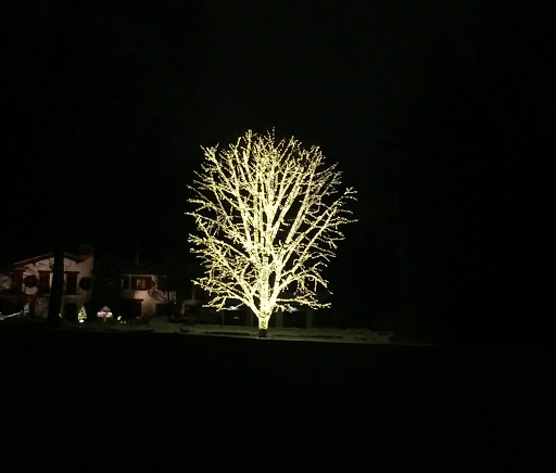 Park «Pier Park», reviews and photos, 350 Lake Shore Rd, Grosse Pointe Farms, MI 48236, USA