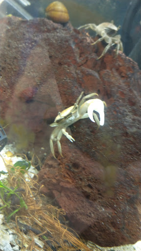 Pet Supply Store «Petco Animal Supplies», reviews and photos, 1410 N Loop 336 W, Conroe, TX 77304, USA