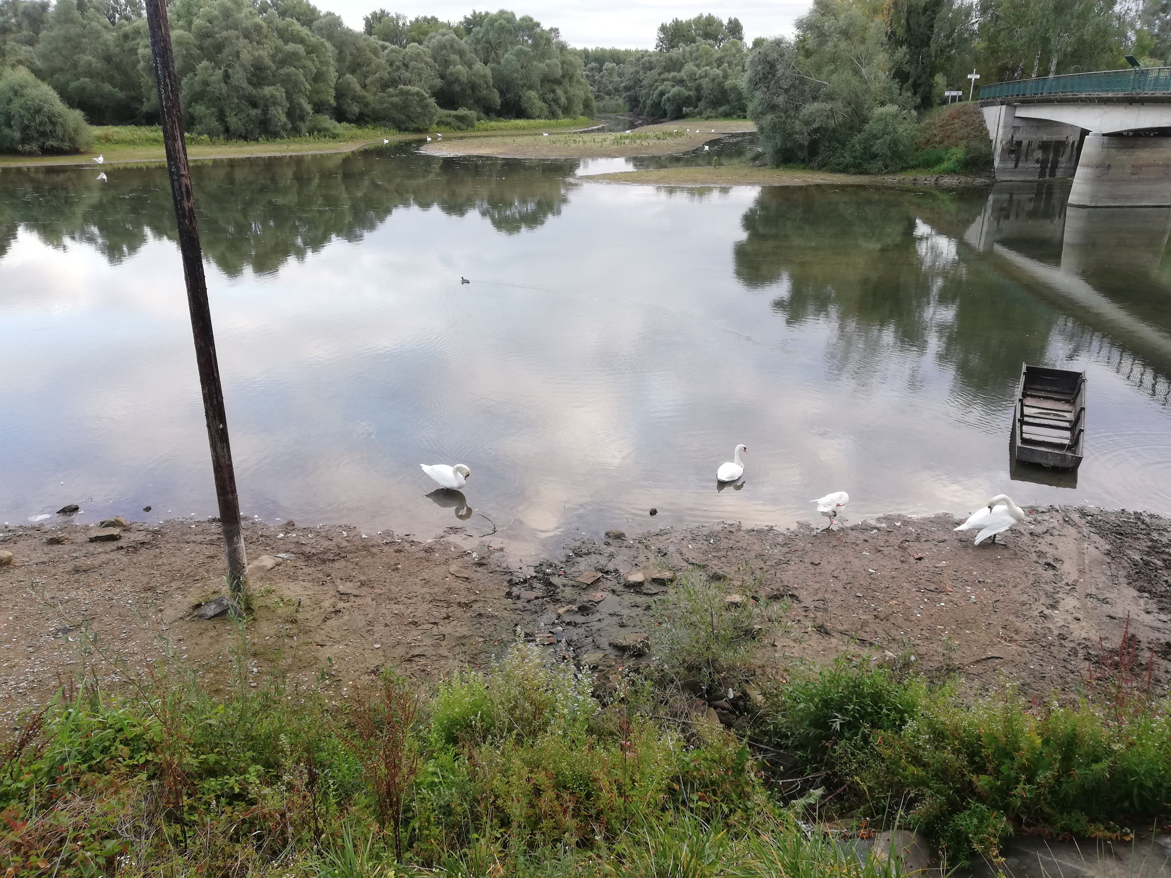 Photo n° 2 de l'avis de Flávio.o fait le 25/09/2019 à 10:11