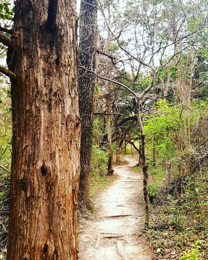 Nature Preserve «Oak Cliff Nature Preserve», reviews and photos, 2875 Pierce Street, Dallas, TX 75233, USA