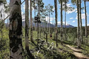 White River National Forest Trail access image