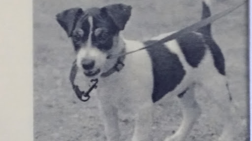 Pet Supply Store «Go Pet Go», reviews and photos, 878 MO-291, Liberty, MO 64068, USA