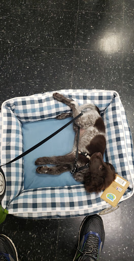 Pet Supply Store «Chuck & Don’s Pet Food & Supplies», reviews and photos, 8115 Wedgewood Ln N #1, Maple Grove, MN 55369, USA