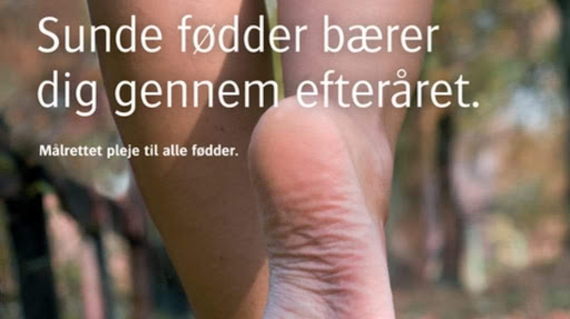 Alt4dig in Rødekro, Aabenraa