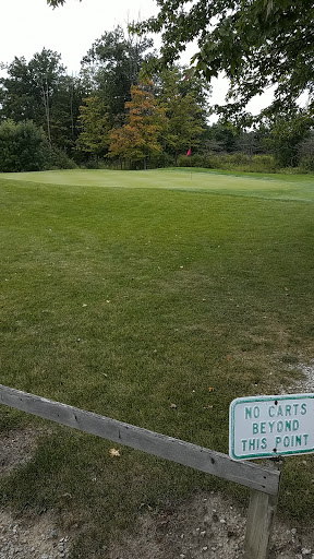 Golf Course «Holly Meadows Golf Course», reviews and photos, 4855 Capac Rd, Township of Mussey, MI 48014, USA