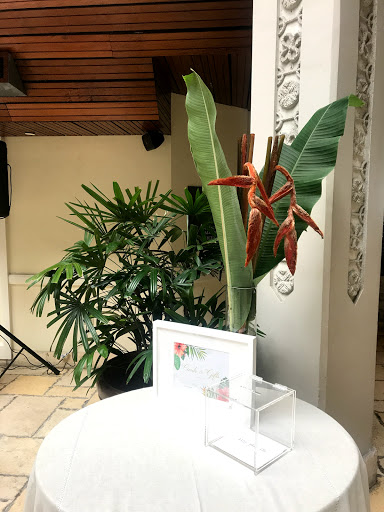 Florist «Formaneta», reviews and photos, 939 Crandon Blvd, Key Biscayne, FL 33149, USA