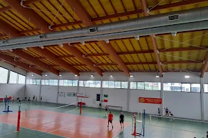 Padernello Municipal Gym image