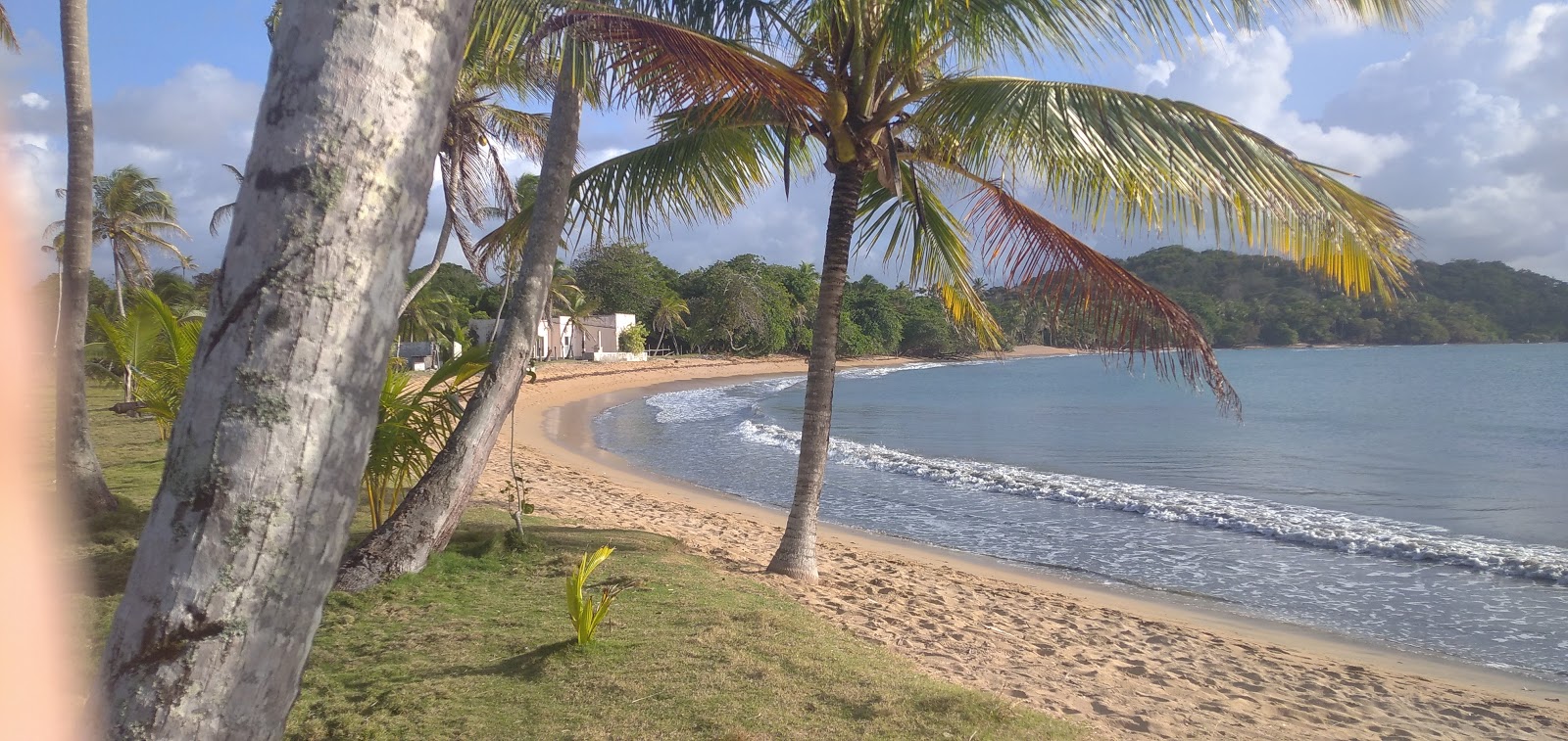 Photo of Damas Beach with turquoise pure water surface