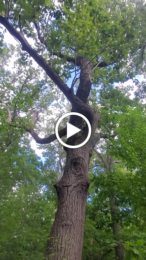 Park «Shedd Park», reviews and photos, 453 Rogers St, Lowell, MA 01852, USA