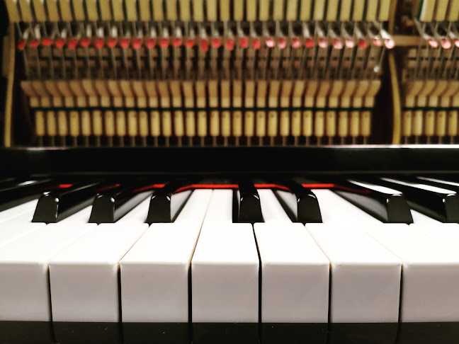 Beoordelingen van Dimitri Proost Pianoservice in Waver - Winkel