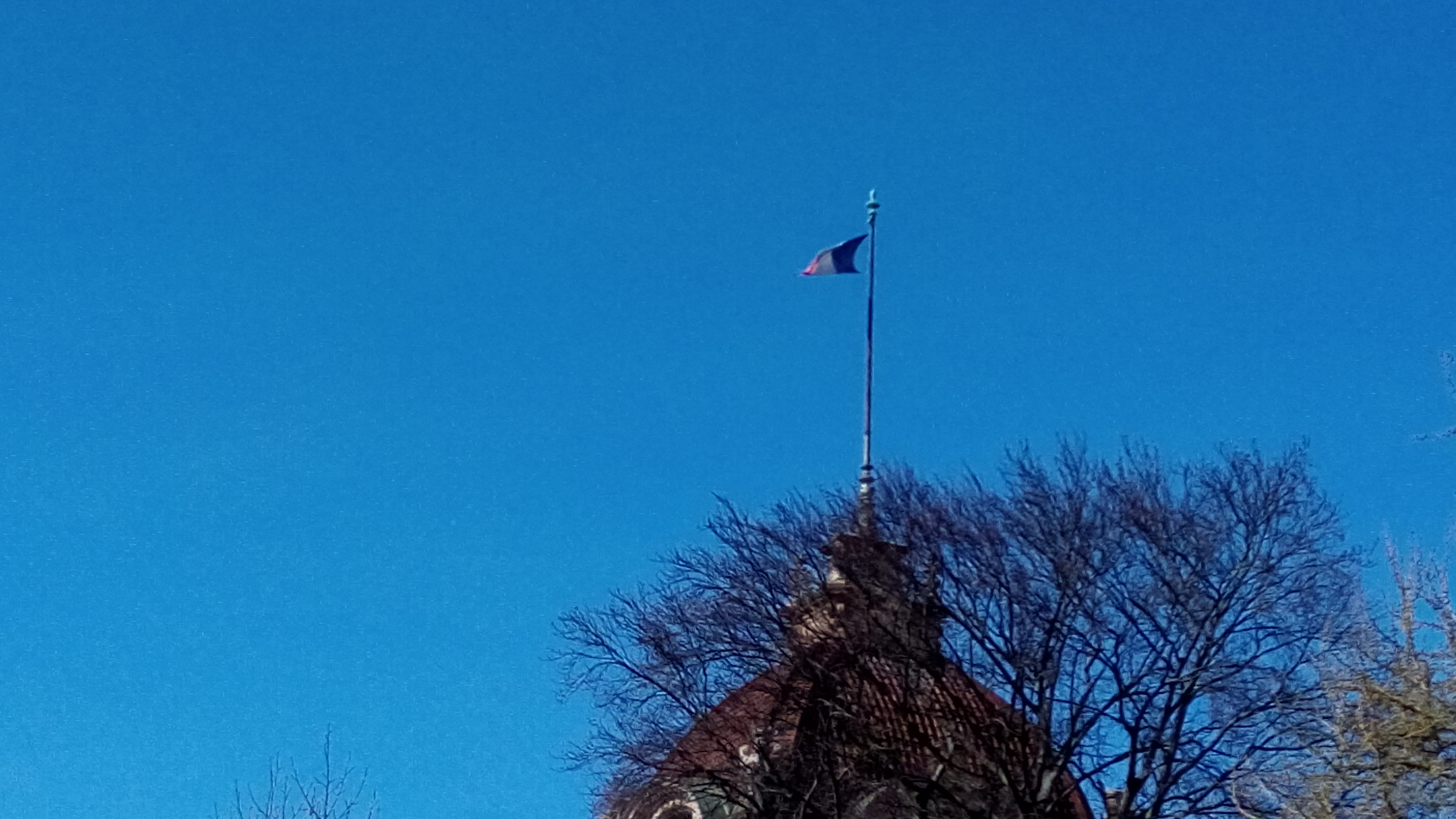 Photo n° 4 de l'avis de Jeff.e fait le 26/03/2019 à 17:15