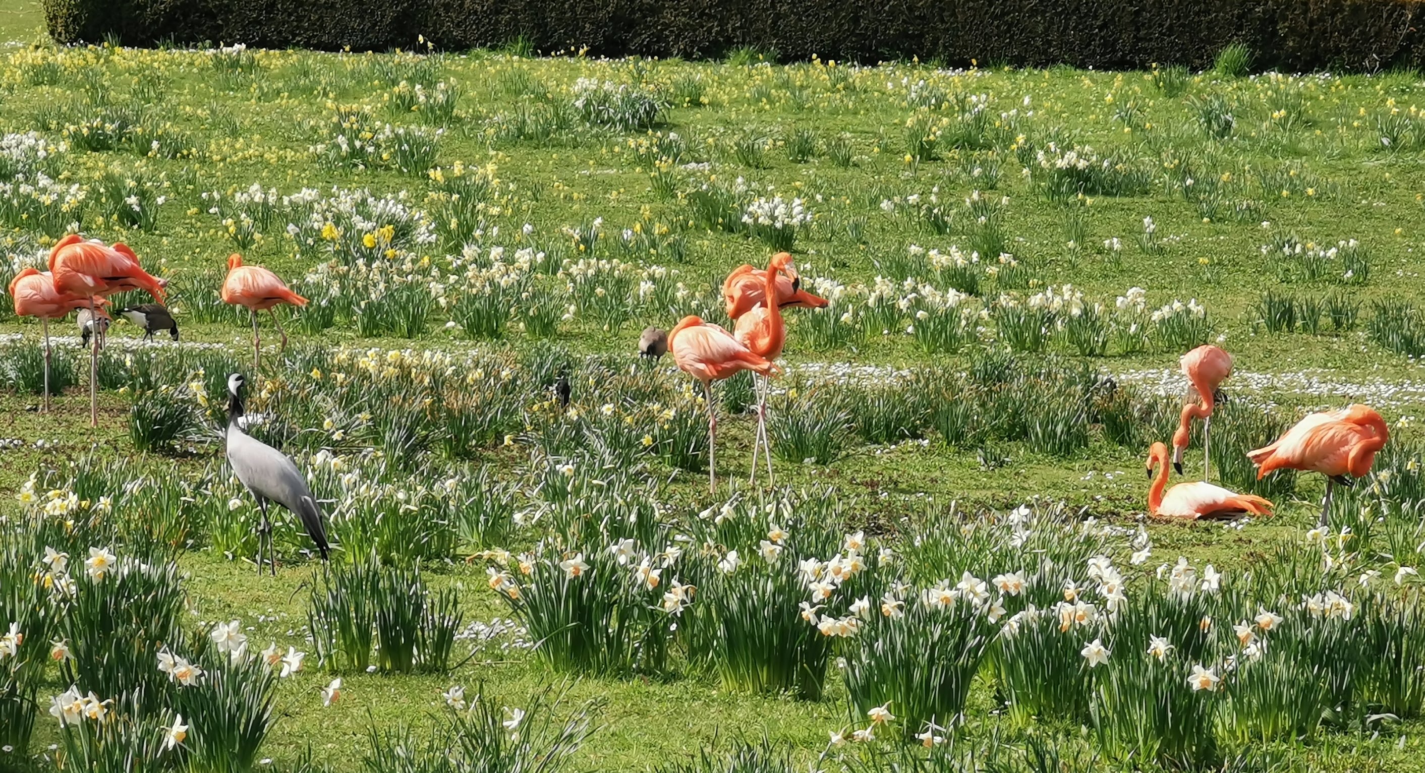 Photo n° 4 de l'avis de Dany.d fait le 10/04/2022 à 17:32