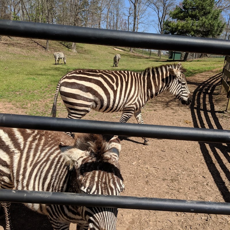 Chestatee Wildlife Preserve & Zoo