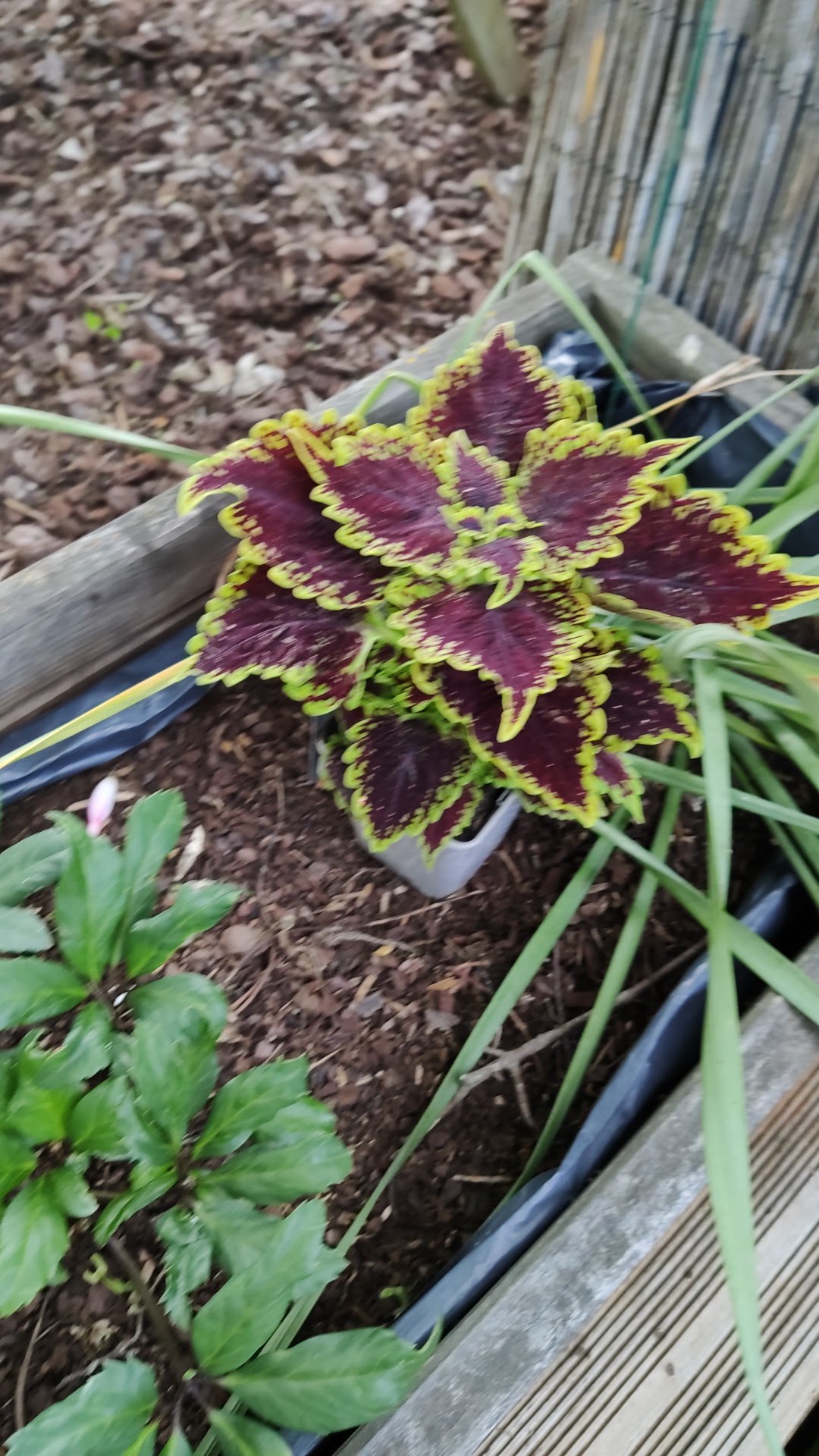 Photo n° 3 de l'avis de Mi.i fait le 22/05/2020 à 17:42