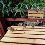 Photo n°2 de l'avis de Christiane.a fait le 08/10/2023 à 20:01 sur le  The Houses at Leipzig Zoo à Leipzig