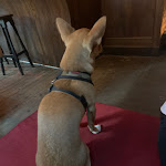 Photo n°1 de l'avis de Isaac.r fait le 25/09/2022 à 16:25 sur le  Berliner Betrüger à Hamburg