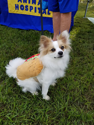 Park «Secret Lake Park», reviews and photos, 200 N Triplet Lake Dr, Casselberry, FL 32707, USA