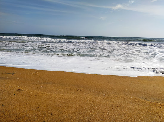 Rathmalana Beach