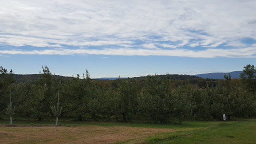 Bowling Alley «WALDEN LANES INC», reviews and photos, 1492 NY-52, Walden, NY 12586, USA