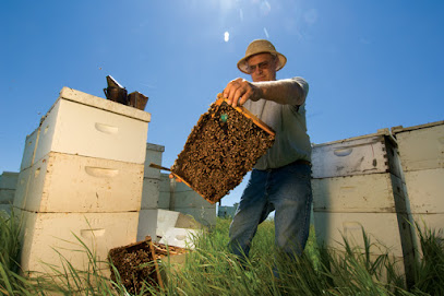 Adee Honey Farms