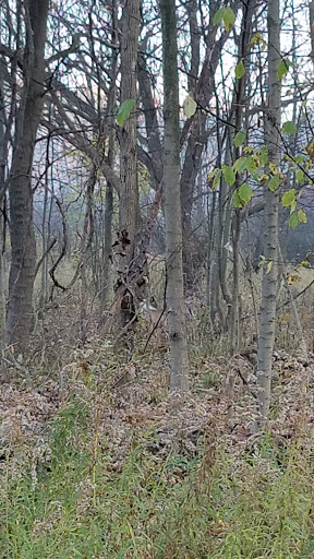 Nature Preserve «Mud Lake Bog Nature Preserve», reviews and photos, 905 E Elm Valley Rd, Buchanan, MI 49107, USA