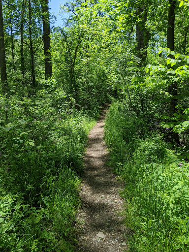 Nature Preserve «Burns-Stokes Preserve», reviews and photos, Zeeb Rd, Dexter, MI 48130, USA