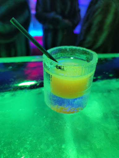 Bar «ICEBAR Orlando», reviews and photos, 8967 International Dr, Orlando, FL 32819, USA