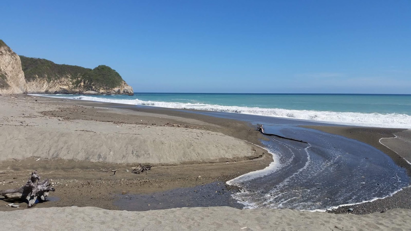 Foto av Playa De Hidalgo med brunsand yta