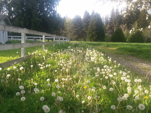 Golf Course «Wayne Public Golf Course», reviews and photos, 16721 96th Ave NE, Bothell, WA 98011, USA