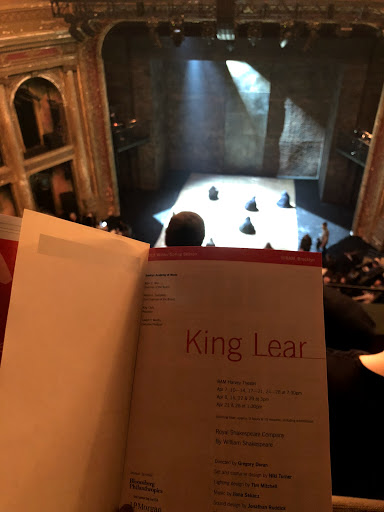 Performing Arts Theater «BAM Harvey Theater», reviews and photos, 651 Fulton St, Brooklyn, NY 11217, USA