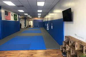 Renzo Gracie South Carolina image