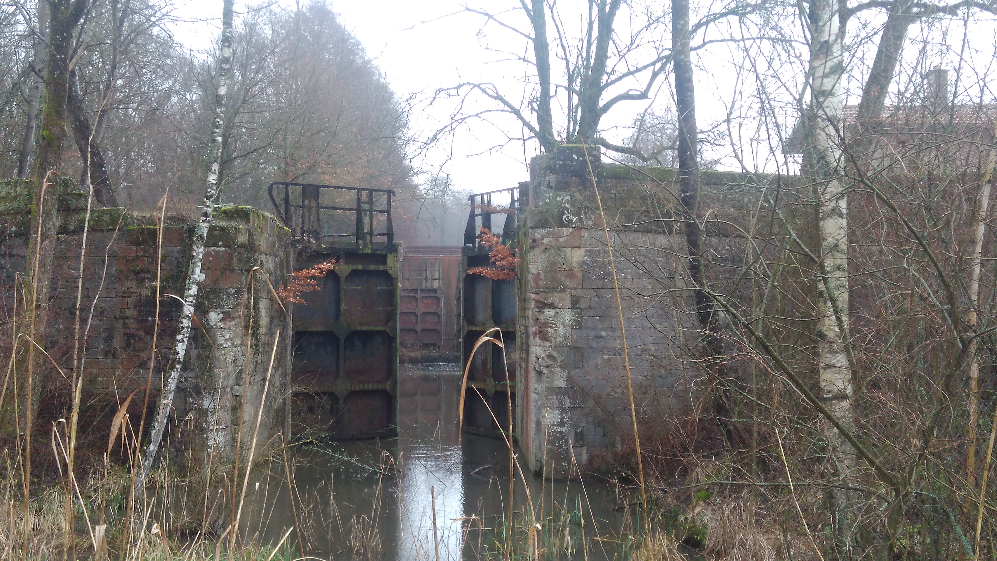 Photo n° 1 de l'avis de Weber.i fait le 01/02/2018 à 07:26