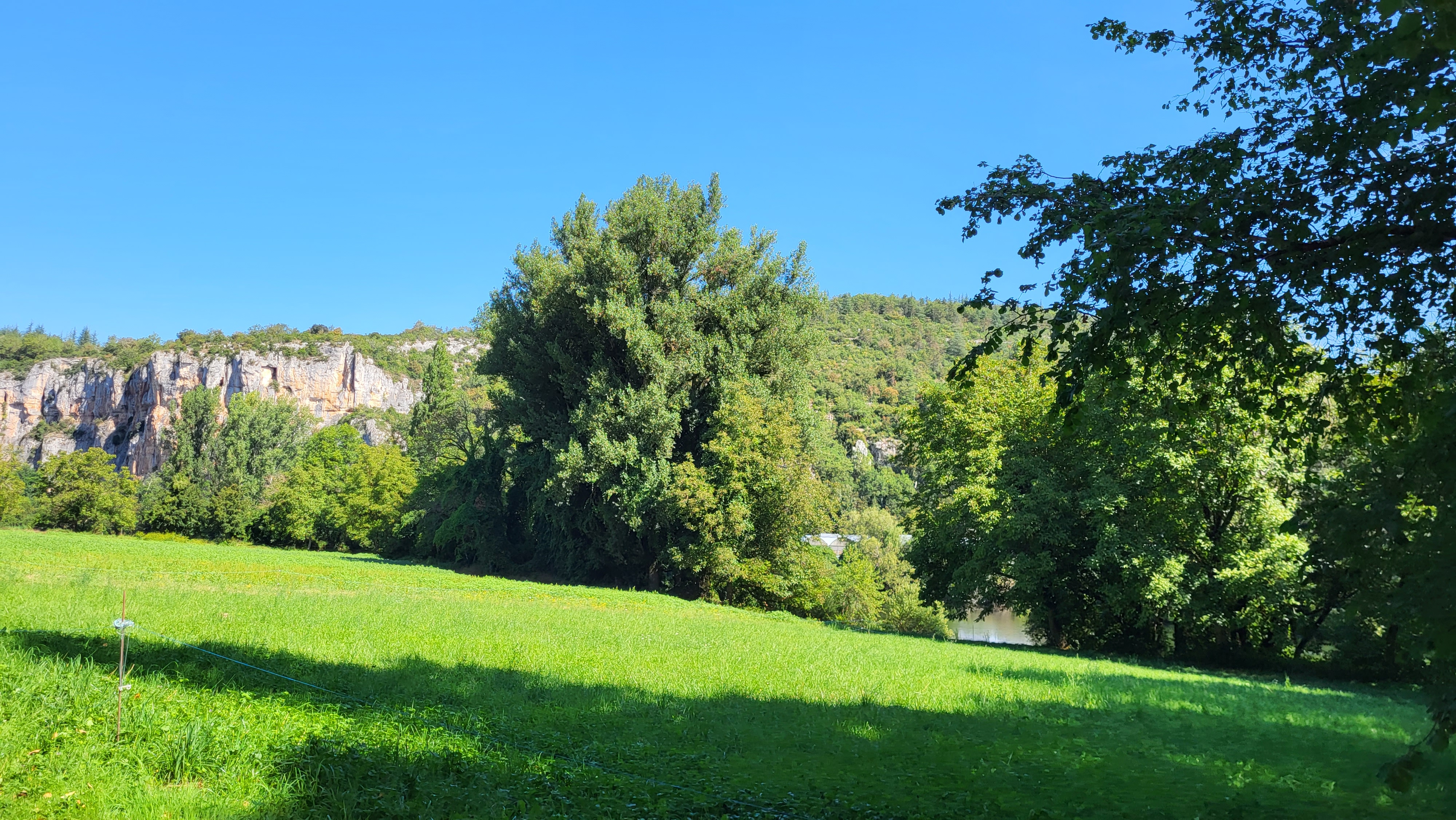 Photo n° 5 de l'avis de Josine.c fait le 18/08/2023 à 05:22