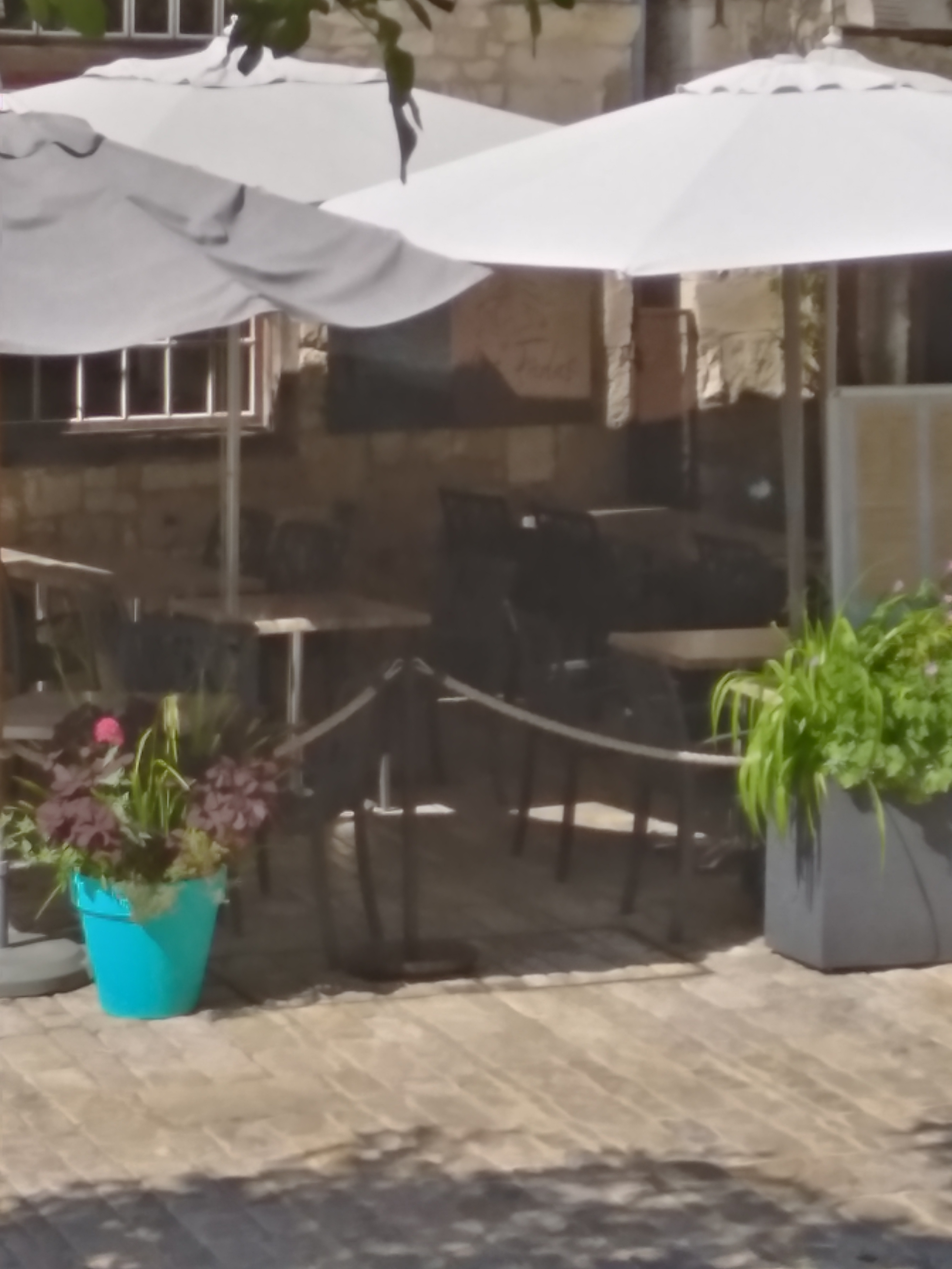 Photo n° 1 de l'avis de BOURGET.o fait le 26/05/2023 à 16:16