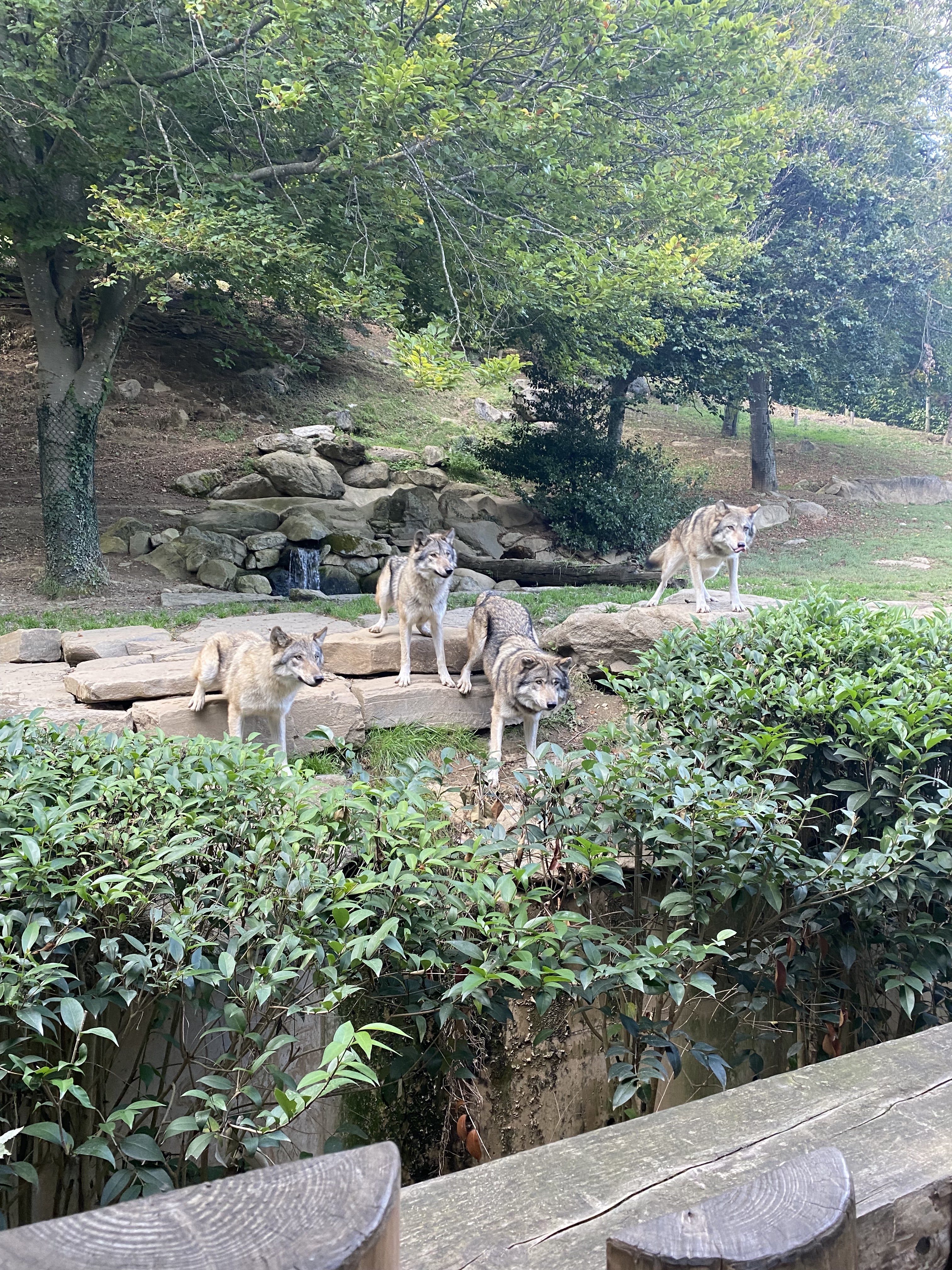 Photo n° 8 de l'avis de Julie-Audrey.e fait le 28/10/2022 à 03:13