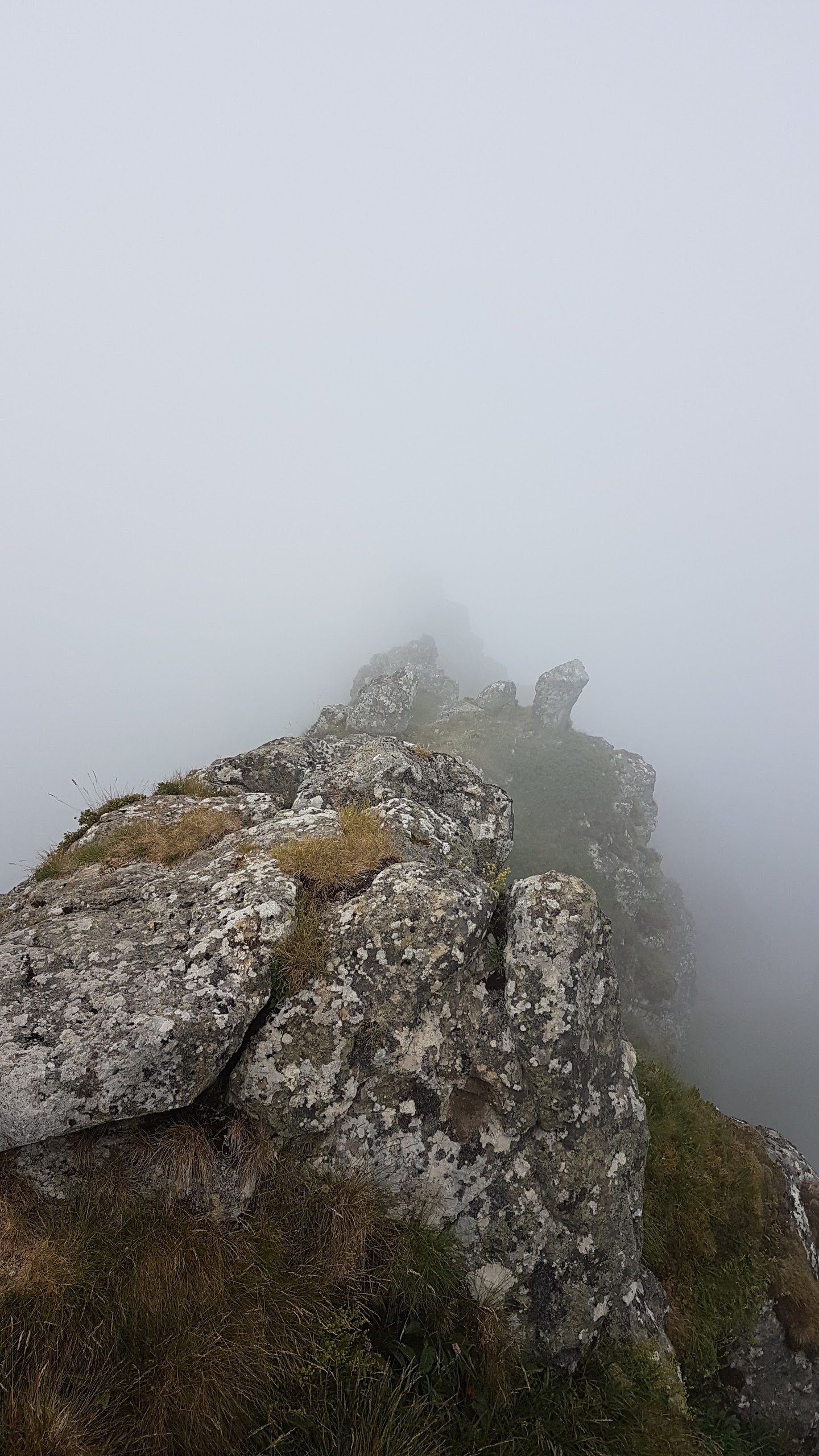 Photo n° 11 de l'avis de Catherine.R fait le 09/08/2019 à 17:54