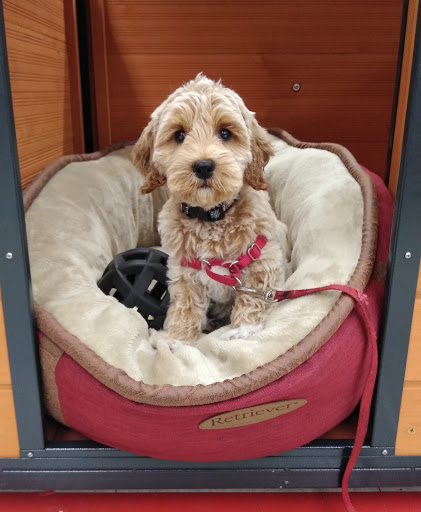 Home Improvement Store «Tractor Supply Co.», reviews and photos, 1706 Citrus Blvd, Leesburg, FL 34748, USA