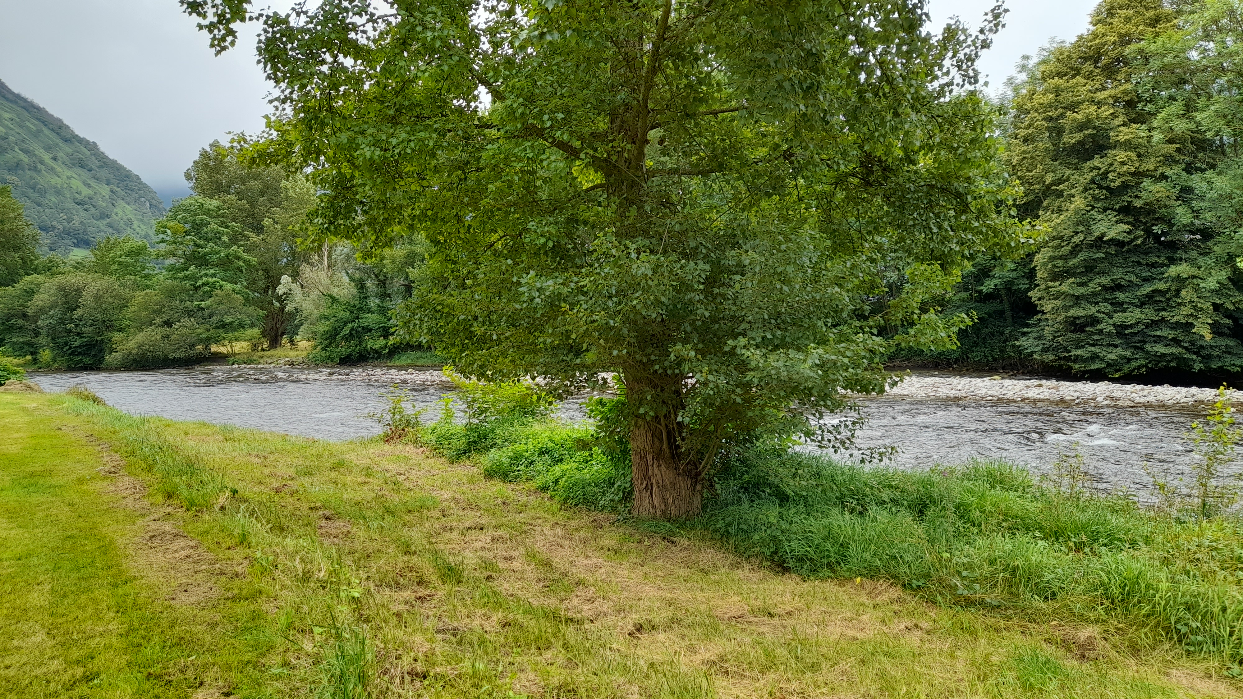 Photo n° 6 de l'avis de Ariane.o fait le 13/07/2023 à 11:18