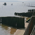 Photo n° 11 de l'avis de Francis.o fait le 12/03/2021 à 05:45 pour Le Phare du Cap Ferret à Lège-Cap-Ferret